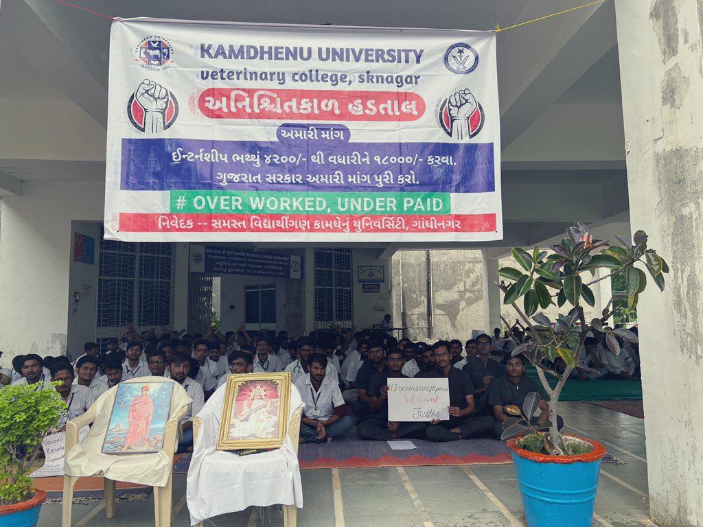 દાંતીવાળા વેટેરનરી કોલેજના  બધા વિધાર્થીઓ તથા નવસારી ઇન્ટર્નના વિધાર્થીઓ ઇન્ટર્નશીપ ભથ્થાને ૪૨૦૦ થી ૧૮૦૦૦ કરાવવાના વિરોધમાં હળતાલ. #Day04 
#Increase_Guj_Vet_Stipend
#Guj_vet_union
#Guj_veterinary_students_on_strike
<a href="/CMOGuj/">CMO Gujarat</a> <a href="/Bhupendrapbjp/">Bhupendra Patel</a> 
<a href="/KanuDesai180/">Kanu Desai</a> <a href="/RaghavjiPatel/">Raghavji Patel</a>