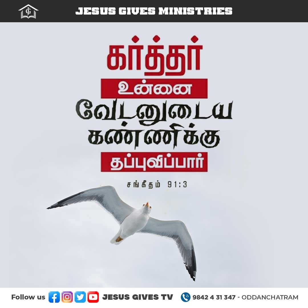 JesusGivesTv's tweet photo. ❤️ அவர் உன்னை வேடனுடைய கண்ணிக்கும், ��ாழாக்கும் கொள்ளை நோய்க்கும் தப்புவிப்பார். - சங்கீதம் 91:3 ❤️
#JesusGives #God #Lord #instagood #instadaily #instalike #likeforlikes #god #jesus #christ #jesuschrist #jesusislord #jesuslovesyou #jesussaves #jesusisking #thankyoujesus #church https://t.co/MDU0ZSAobH