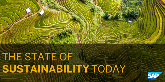 In a recent SAP survey, 80% of execs said #sustainability has a positive relationship w/ long-term profitability. Get tips on how to achieve your green &amp; economic goals here: bit.ly/3zZKNHs