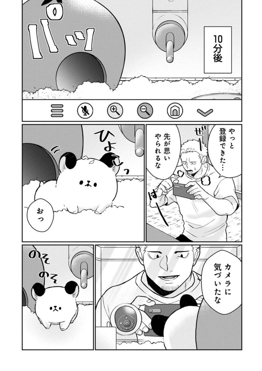#悪者さんちのハムスター
第14話「はなれていても大丈夫?」がくらげバンチにて公開されました🐹🐻
https://t.co/0lBUZzaJy7
ペットカメラの導入でどこにいても安心安全!

単行本も発売中です!
https://t.co/B2zb97vbaj
ぜひよろしくお願いします。 