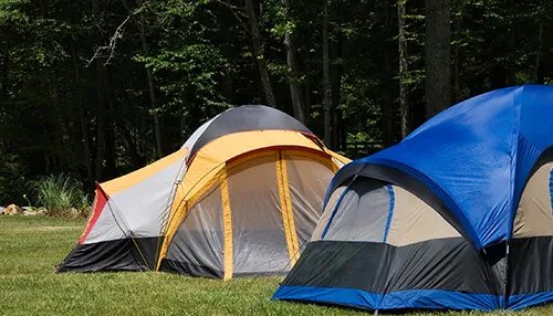Approved Tips for Buying Tents.
#adventure #Camping #outdoors #camplife #tent #lakes #campingvibes #riverrafting #budget #tentcamping  #travel #hiking #campingweekend #roadtrip #nature #Qualitytents @americantent @SELFmagazine 
tycoonstory.com/tips/approved-…