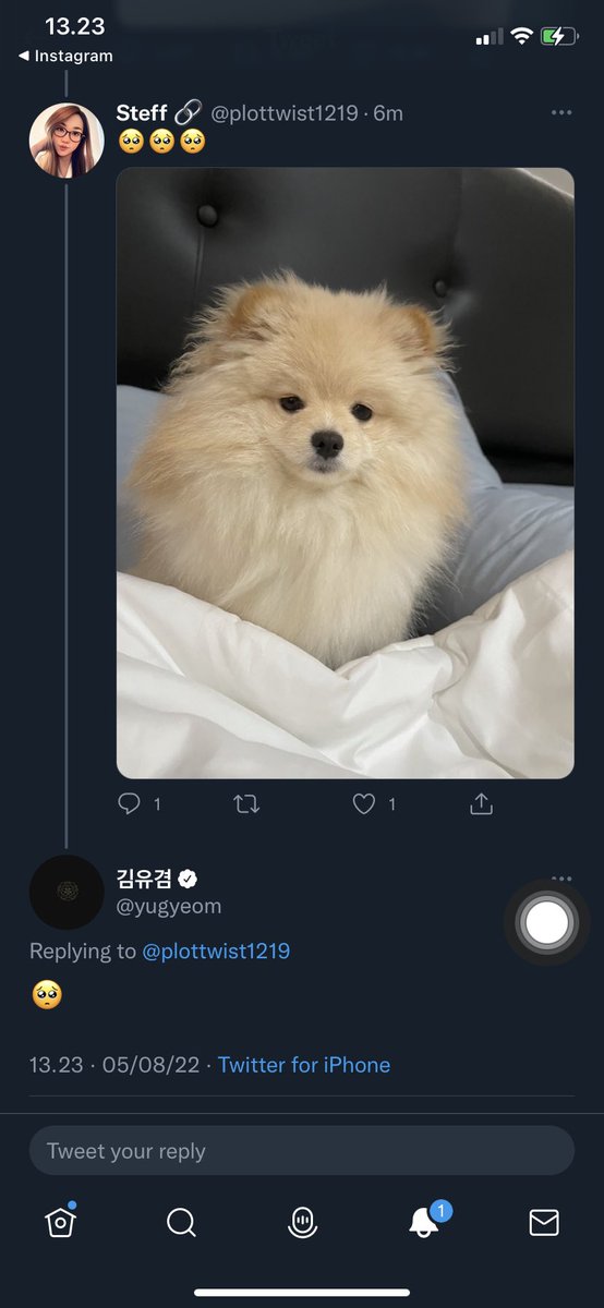 Steff 🔗 (@plottwist1219) / Posts / X