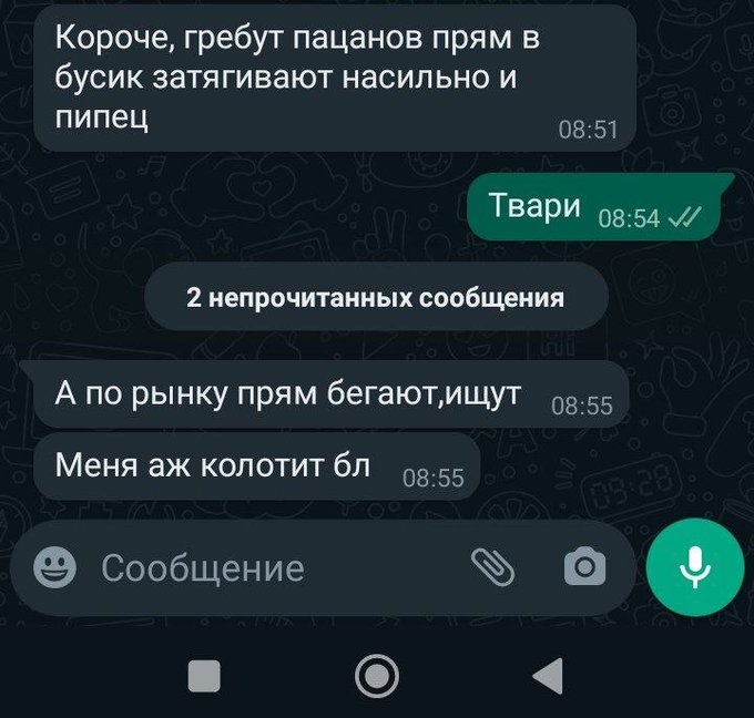 Pilt