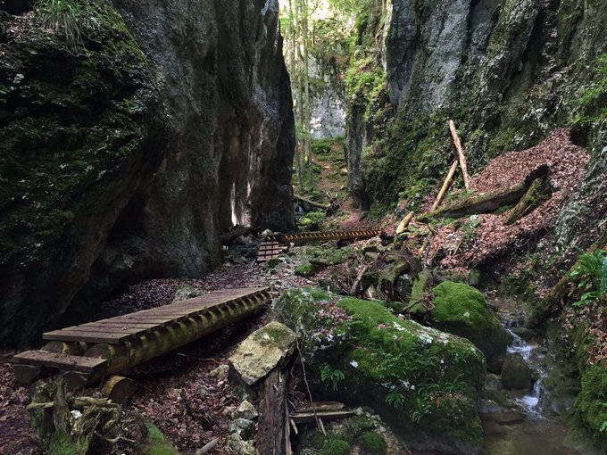Der Schweiz-Experte (@stmediach) on Twitter photo Zum Abkühlen an heissen Tagen!
Ein romantisches Naturjuwel zum Entdecken im #SolothurnerJura!
Die #Wolfsschlucht im #NaturparkThal !
Steile Felswände, tosendes Wasser, Höhlen und mittendurch ein Wanderweg!
<a href="/VisitSolothurn/">Solothurn Tourismus</a> #SchweizerPärke
bit.ly/3buXUH8 Zum Abkühlen an heissen Tagen!
Ein romantisches Naturjuwel zum Entdecken im #SolothurnerJura!
Die #Wolfsschlucht im #NaturparkThal !
Steile Felswände, tosendes Wasser, Höhlen und mittendurch ein Wanderweg!
<a href="/VisitSolothurn/">Solothurn Tourismus</a> #SchweizerPärke
bit.ly/3buXUH8
