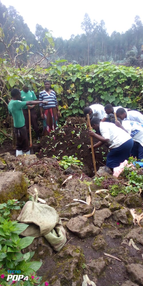 Students & teachers from G.S Rwankeri in @NyabihuDistrict under the @36Tesf project 'Output & Sharing' aspect of the school gardening project replicated knowledge learnt to make a kitchen garden for a vulnerable parent looking after orphans @jhaganza @TransformingESF @GER_Global