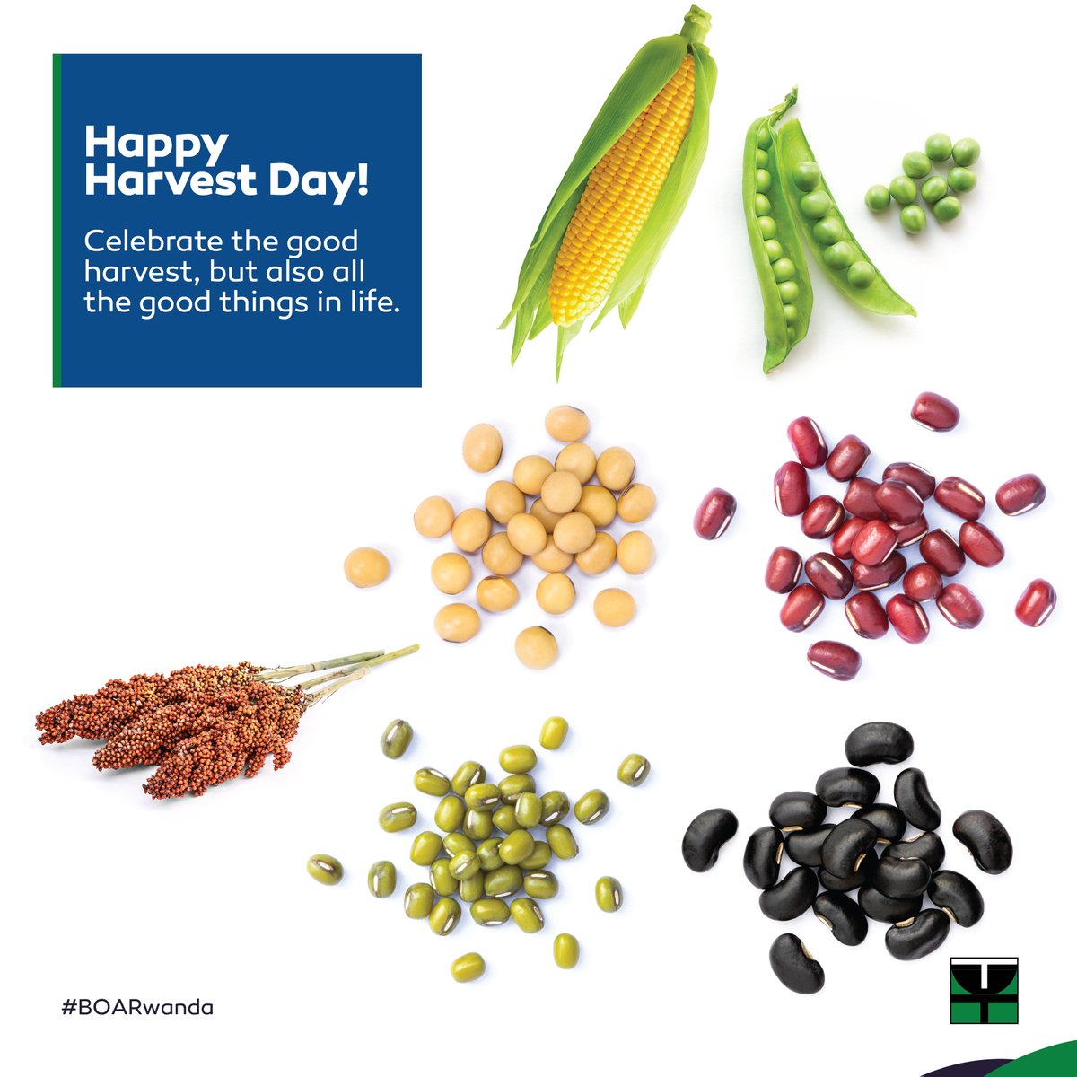 Happy Umuganura Day! Share the harvest feast even from a distance with our digital channels available for you. As you enjoy your hard work, grasp the opportunity to set targets for more celebrations in the coming year.

#NationalHarvestDay #HarvestDay #UmuganuraDay2022