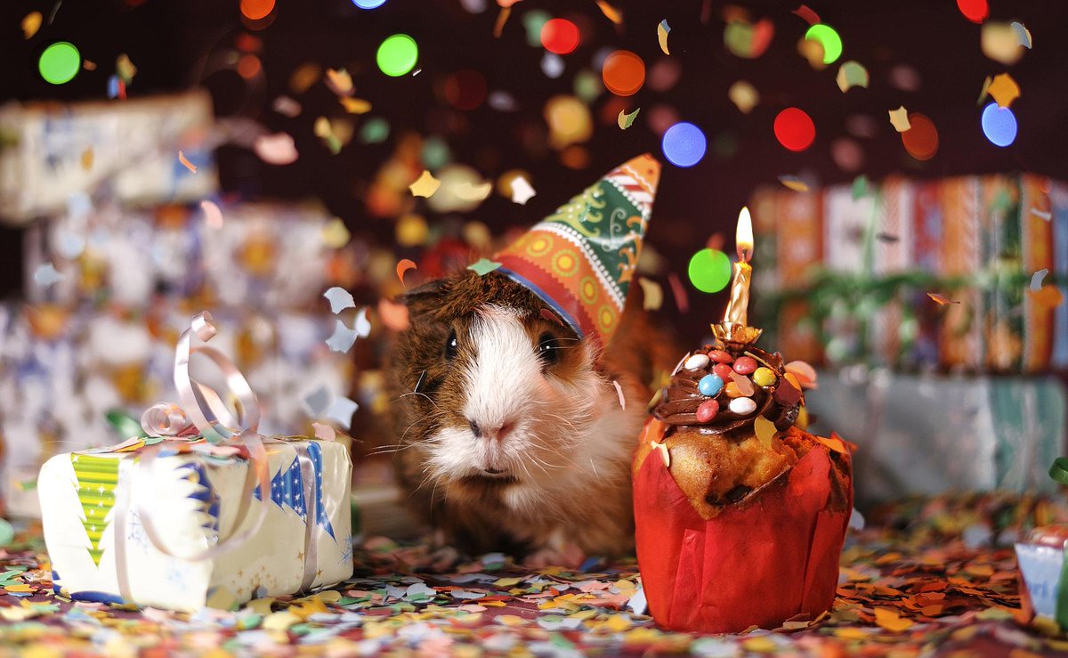 DRB Compliance is 3 today.... Woo Hoo 🥳🥳

Get in touch and let's make you part of our next three years 😄