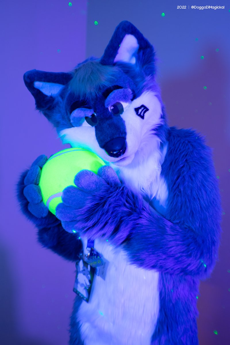 ChevronTheWolf's tweet photo. @DoggoDiMagickal took these amazing pictures at the @TheFurstState 's Furbowl 77! Thank you so much! #furststate #furbowl #professional #photography #fursuit
@chargerwolf87 looks awesome!
Fursuit by @SarahcatFursuit
Badge holder by @IllumiCyberwear
Badge art by @Amedrinix https://t.co/91eMuPBCb2