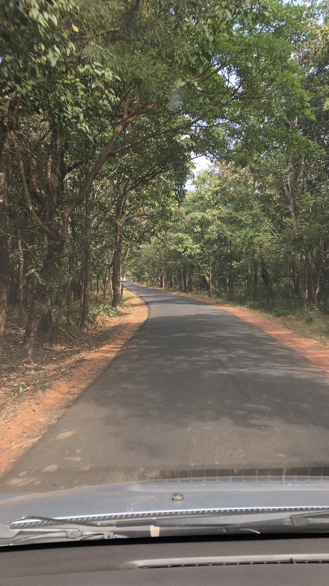 akmsafar's tweet photo. @RoadsOfMumbai Travelled umpteen times n tried diff routes - right from Kagal, Nipani n Sankeshwar all r great n hve their own charm but the best we like is frm Belagavi passing thru Bhimgad n Bhagawan sanctuaries, this road is just amazing n lands u closer to south Goa Enjoy https://t.co/RVsY3b6xgv