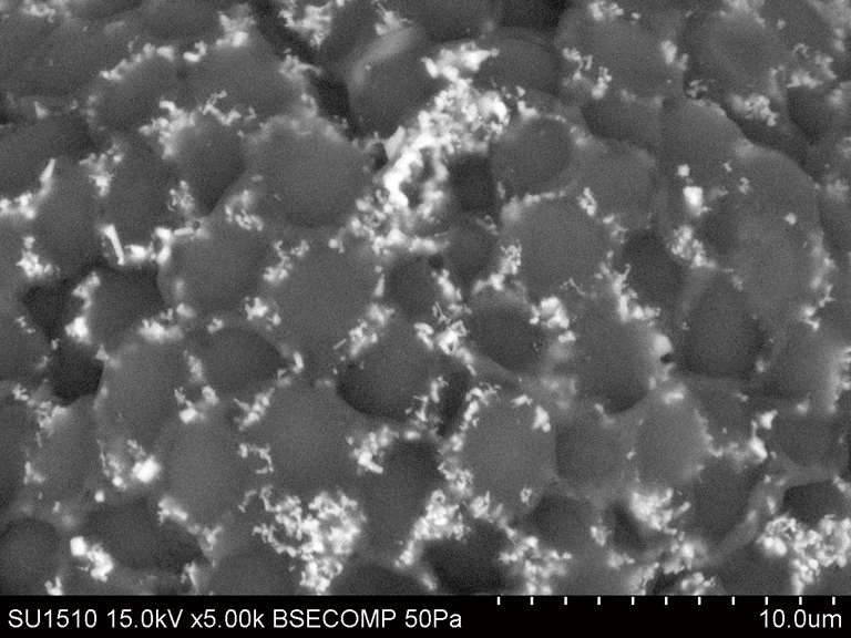 Hitachi Electron Microscope tweet media