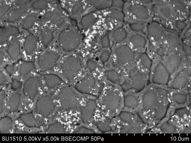 Hitachi Electron Microscope tweet media