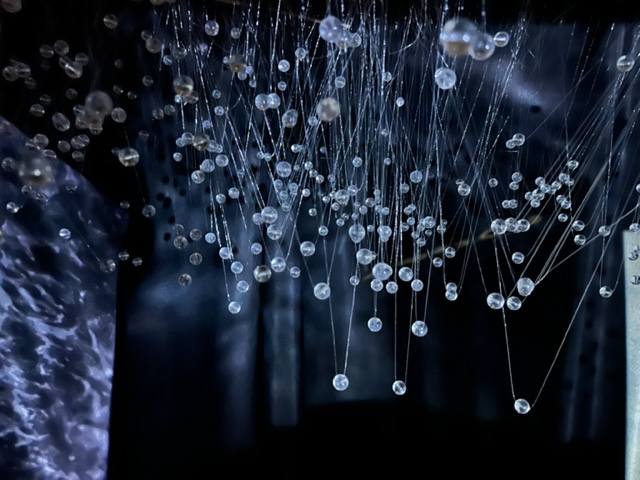 studioalexcarr's tweet photo. Emergence, my most recent site-specific light installation, highlighting the spectacular displays of Starling murmuration, opens at The Coro today as part of their Incredible Journeys programme exploring animal and human migration.- https://t.co/dALIuK8qAb https://t.co/5cwoWXfxCp