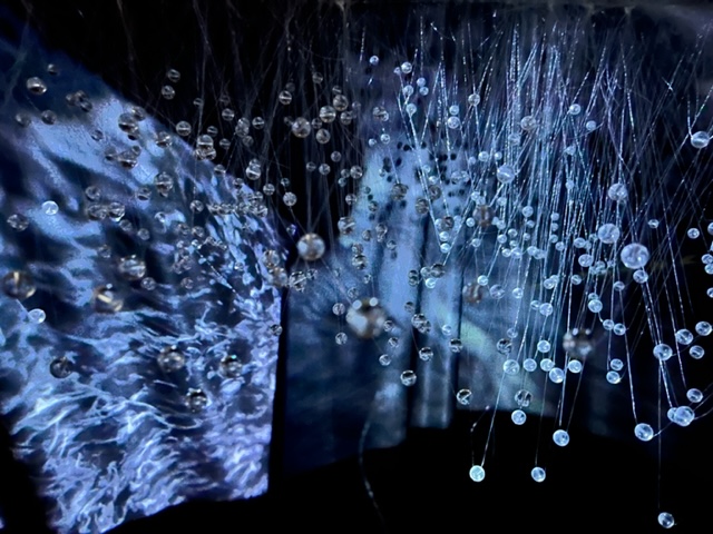studioalexcarr's tweet photo. Emergence, my most recent site-specific light installation, highlighting the spectacular displays of Starling murmuration, opens at The Coro today as part of their Incredible Journeys programme exploring animal and human migration.- https://t.co/dALIuK8qAb https://t.co/5cwoWXfxCp
