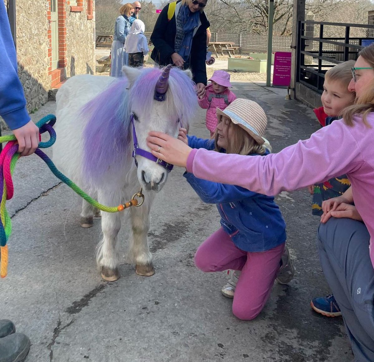 MiniPonyDevon's tweet image. 🦄 Unicorns are real! 🦄

l8r.it/VfPl

 #unicorn #horse #devon #southdevon #dartmoor #holidays #summerfun #adventure #miniature