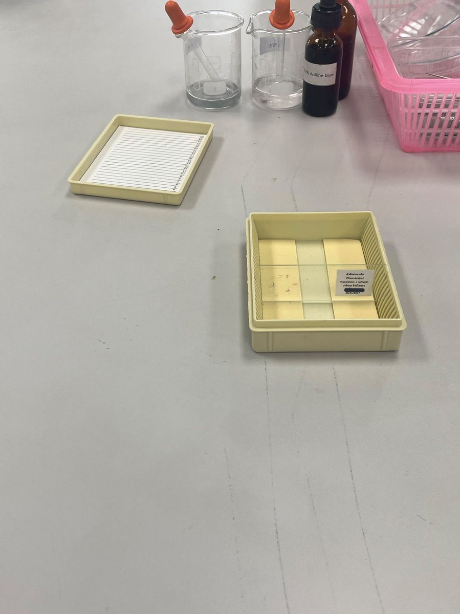 อยากได้แฟนเป็นหมอก็เซมาทางนี้นะคะ🤫