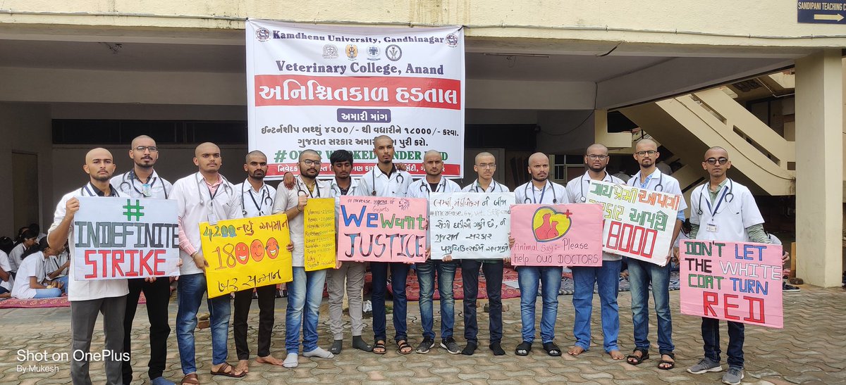 Dr_jAA8's tweet photo. @CMOGuj @RaghavjiPatel @KanuDesai180  जी से निवेदन है कि वेटनरी स्टूडेंट की इस मांग का अति शीघ्र निस्तारण करें ताकि वे और अधिक morals और efficiency के साथ पशुओं का उपचार करके इस आपदा में सरकार का साथ दे सकें
#Day5_of_guj_vets_on_strike
@Divya_Bhaskar @tv9gujarati @sandeshnews https://t.co/U41M4xqzfg
