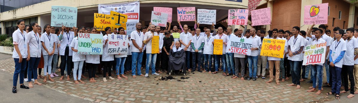 <a href="/CMOGuj/">CMO Gujarat</a> <a href="/RaghavjiPatel/">Raghavji Patel</a> <a href="/KanuDesai180/">Kanu Desai</a>  जी से निवेदन है कि वेटनरी स्टूडेंट की इस मांग का अति शीघ्र निस्तारण करें ताकि वे और अधिक morals और efficiency के साथ पशुओं का उपचार करके इस आपदा में सरकार का साथ दे सकें
#Day5_of_guj_vets_on_strike
<a href="/Divya_Bhaskar/">Divya Bhaskar</a> <a href="/tv9gujarati/">Tv9 Gujarati</a> <a href="/sandeshnews/">Sandesh</a>