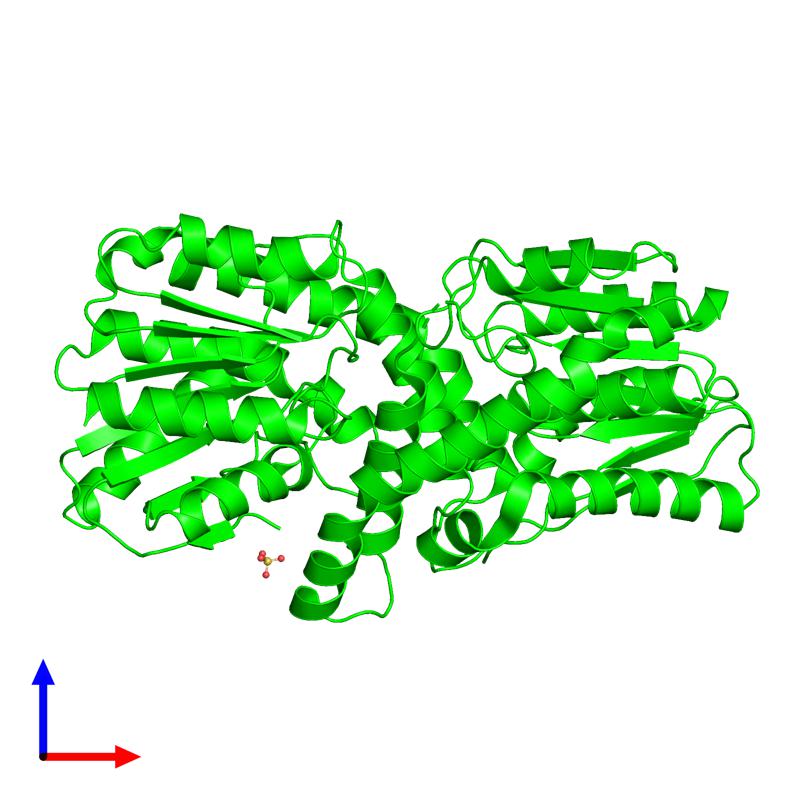 PDBimagebot's tweet photo. 'Crystal structure of a feruloyl esterase LP_0796 from Lactobaci..' published in Int J Biol Macromol. Find it at https://t.co/d5vpo9Xi1K https://t.co/nKc2rnf0iF