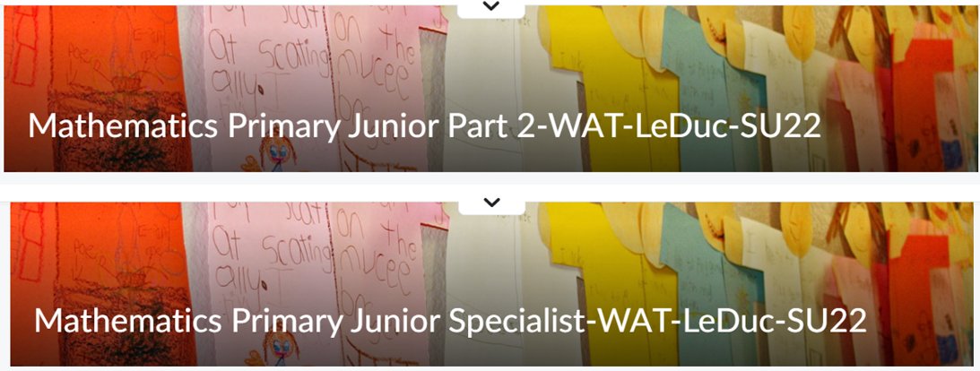 DucPetra's tweet photo. 5 weeks have flown✈️ by! 🏖️Summer😎Math AQs - ✨such incredible shared learning experiences👥! #CONGRATS 🎉#mathies #WCDSBAwesome #wcdsbmath #OECTAAQ @WCDSBNewswire
 #honoured to lead the learning #MathPJ2 &amp; #MathPJSpecialist this July! https://t.co/jMmHxIPXlq