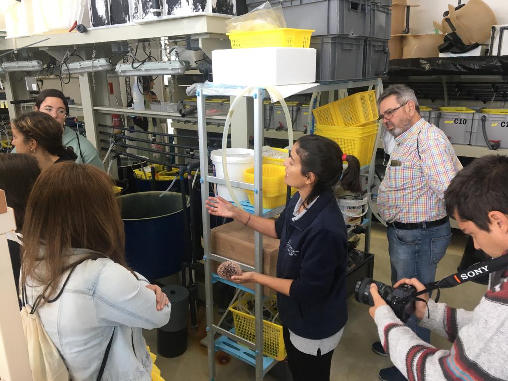 ocimerplus's tweet photo. @CIM_Uvigo Estas xoves promesas tamén coñeceron o proxecto @ocimerplus na súa visita ás instalacións da #ECIMAT. #FEMP #Pleamar @FBiodiversidad @jmge63 @angelpdiz @Estef_Paredes @CostasDamian @m_parrondo https://t.co/xTN1PydoF4