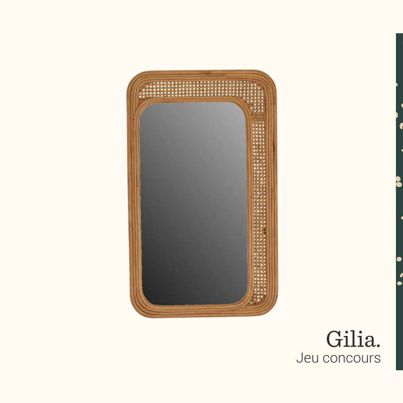 moncanapedotcom's tweet photo. CONCOURS "Natural Colors", nouvelle collection 🌿 FOLLOW + LIKE + RT pour tenter de remporter notre miroir Gilia tout en rotin ! Pour un intérieur nature chic (https://t.co/HbVggfaRCx). Vous avez jusqu'au  24/08/22 à 23h59 pour jouer. #moncanapedotcom #jeuconcours #concours https://t.co/TRuobQ4hXm