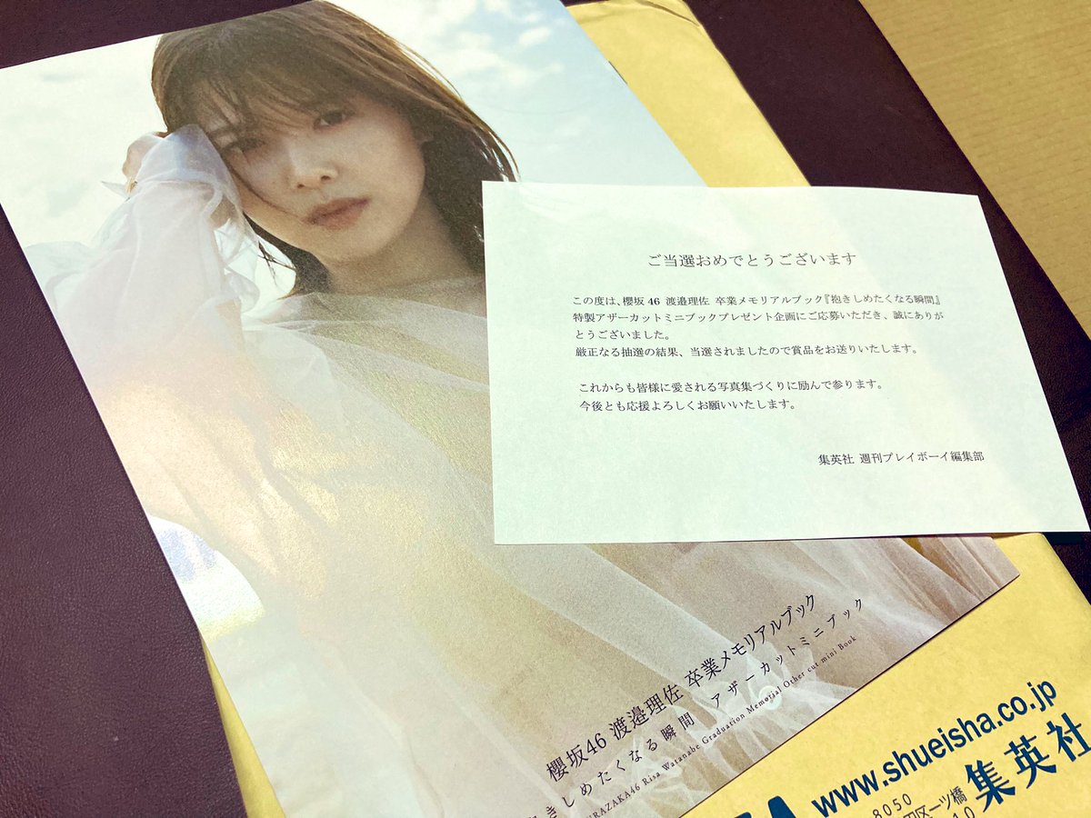 魅力の 渡邉理佐 櫻坂46 抱きしめたくなる瞬間 特製アザーカットミニ