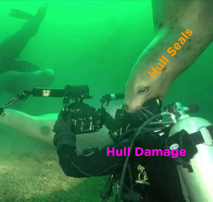 HullSeals's tweet photo. Hull Seals: Taking a nom out of hull damage since 3305.
If you need your hull repaired visit https://t.co/NK5YnfEdlZ and request a seal today!
#EliteDangerous #hullseals #hullrepair https://t.co/3Wk6l9WjaZ