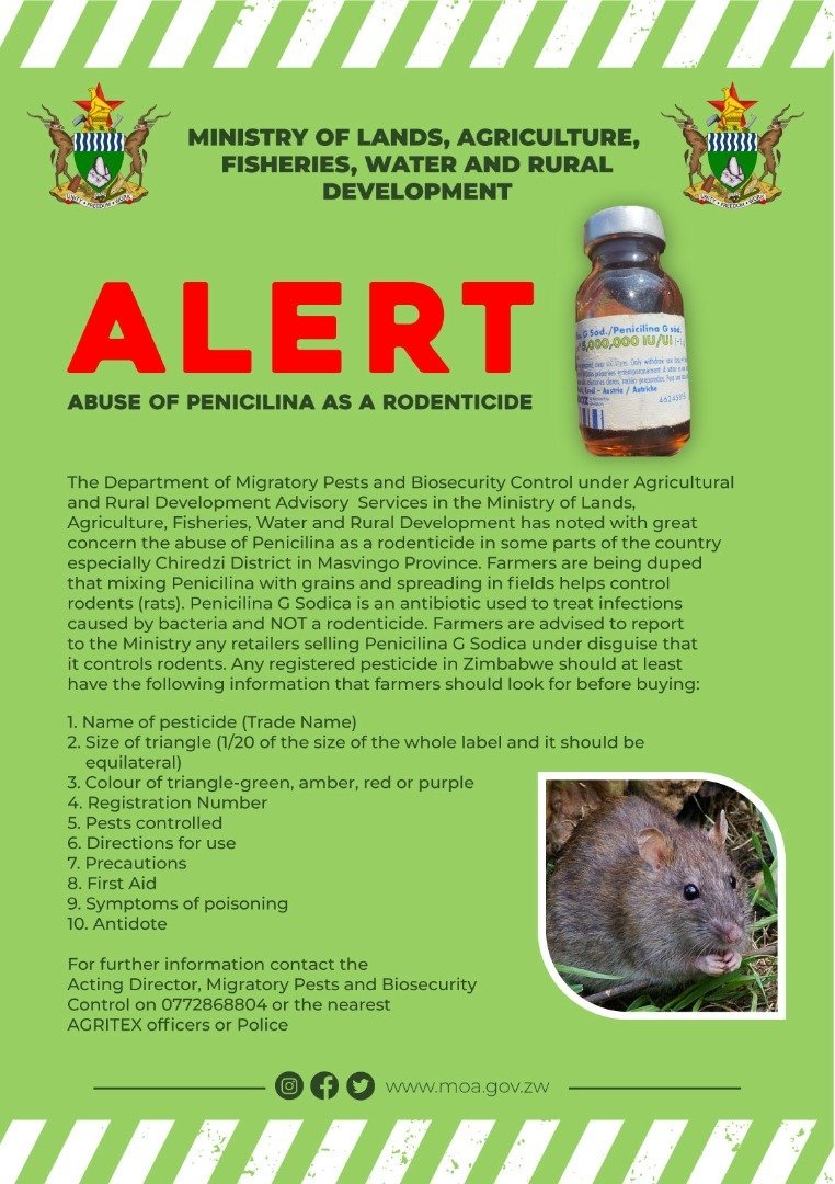 CropLifeZW's tweet photo. ALERT‼️ Abuse of Penicilina as a Rodenticide note from @MoLAFWRD_Zim https://t.co/IycFNcG2Oh