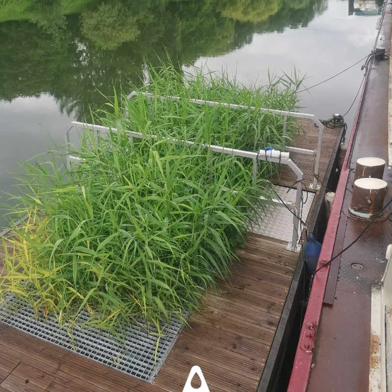 Aquatiris tweet media