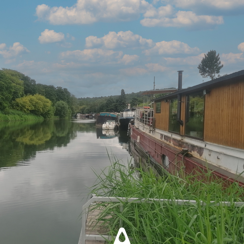 Aquatiris tweet media