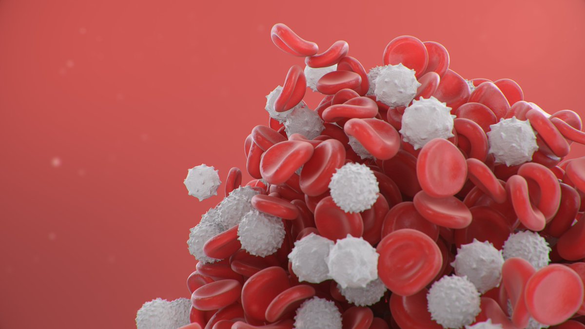 Researchers in #haematology conduct research on rare forms of #bloodcancer and integrate the results of three research groups in the new Oncology Center of Excellence. #Oncology uni-leipzig.de/en/newsdetail/… Photo: Colourbox