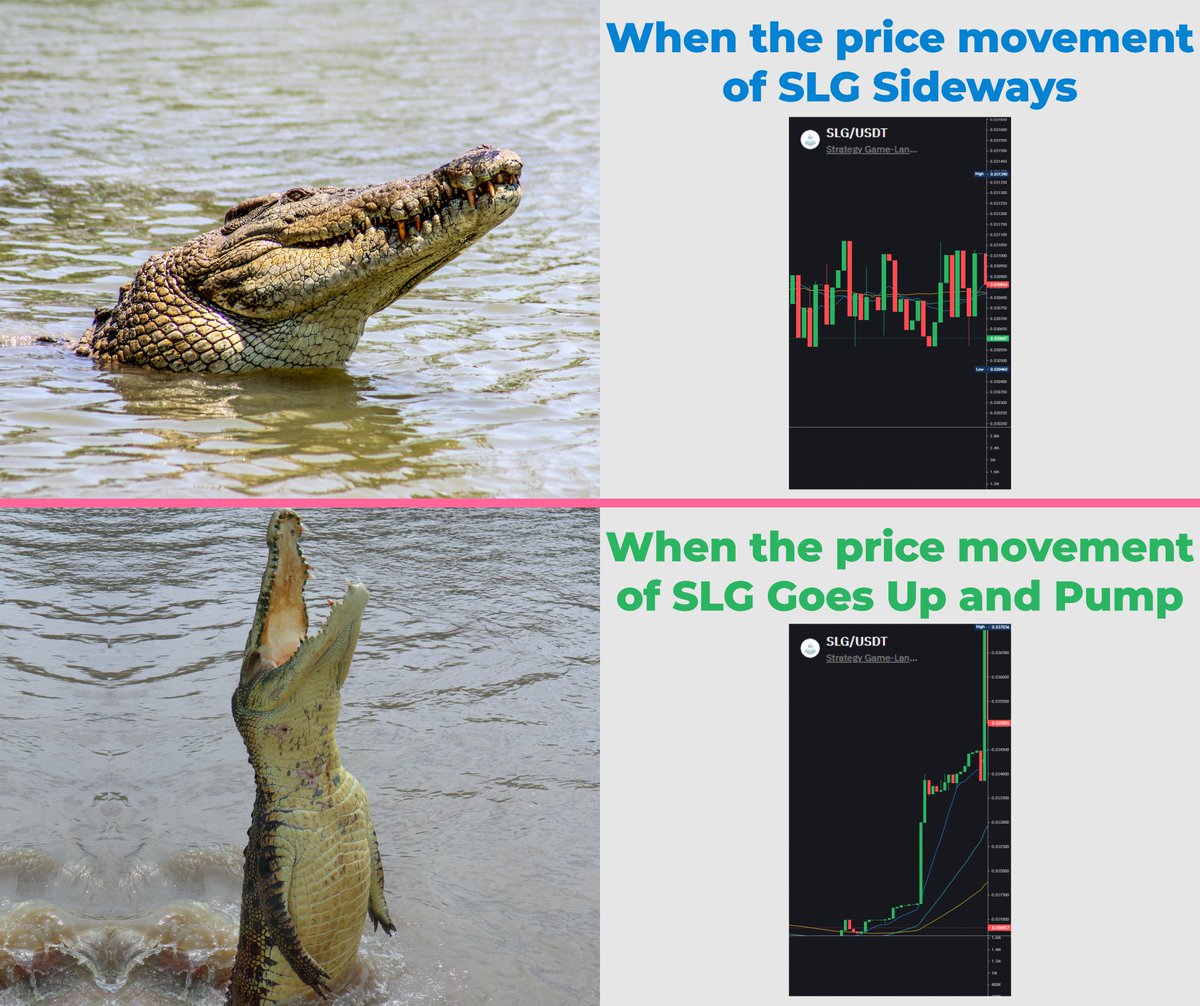 henry_e_s's tweet photo. Hopefully the $SLG price movement in the future can Goes Up and Pump🌟until the crocodile can stand up straight.
My meme creation #3 🙏
@LandofConquest
#LandOfConquest #Medals #MemeContest #LOCMeme #SLG  
@lailatulllll @omponxxx @sitompulfahmi @Ikmal_s_l @maxbrilian @WilliamsL30 https://t.co/gz6D5AMCF6