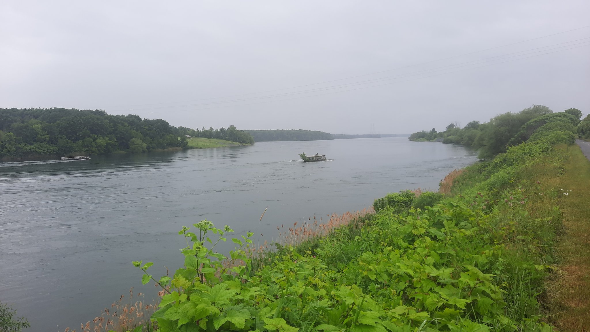 Jeffrey S Rafuse🌳 on Twitter: 