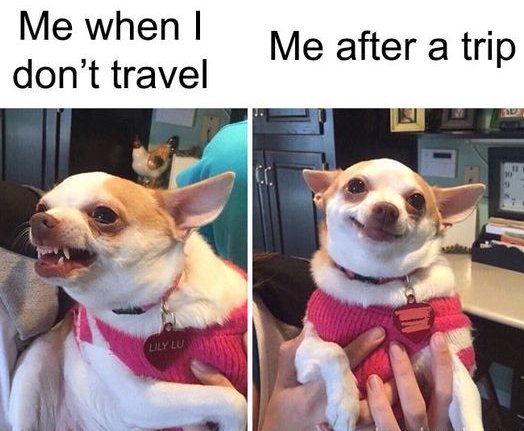 Couldn't be more true x

#chillimixholidays #holidaystobeproudof #gaytravel #lgbtqtravel #lesbiantravel #travelfacts