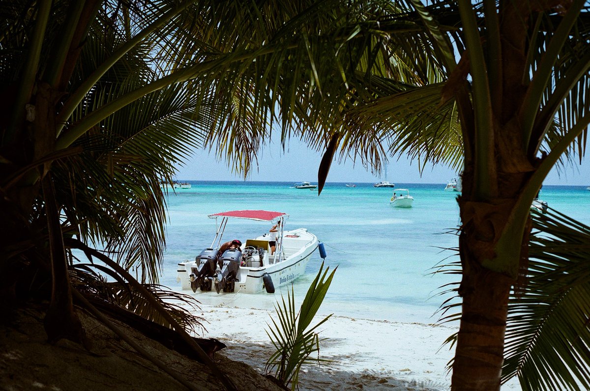 Alfie Cobbold tweet media