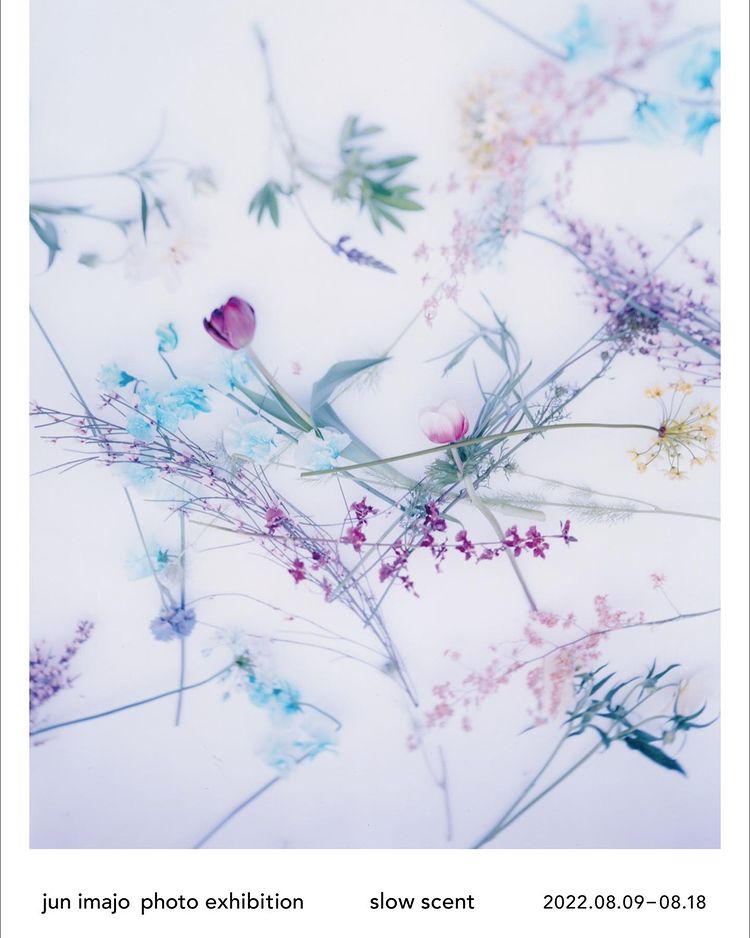 SEIGENSHA's tweet image. 【展覧会】
jun imajo photo exhibition slow scent

会期: 2022年8月9日(火)-8月18日(金)
時間: 11:00-19:00
場所: Container Graphic Gallery

【8月新刊】
今城純写真集　雨音
amzn.to/3bzNjuG