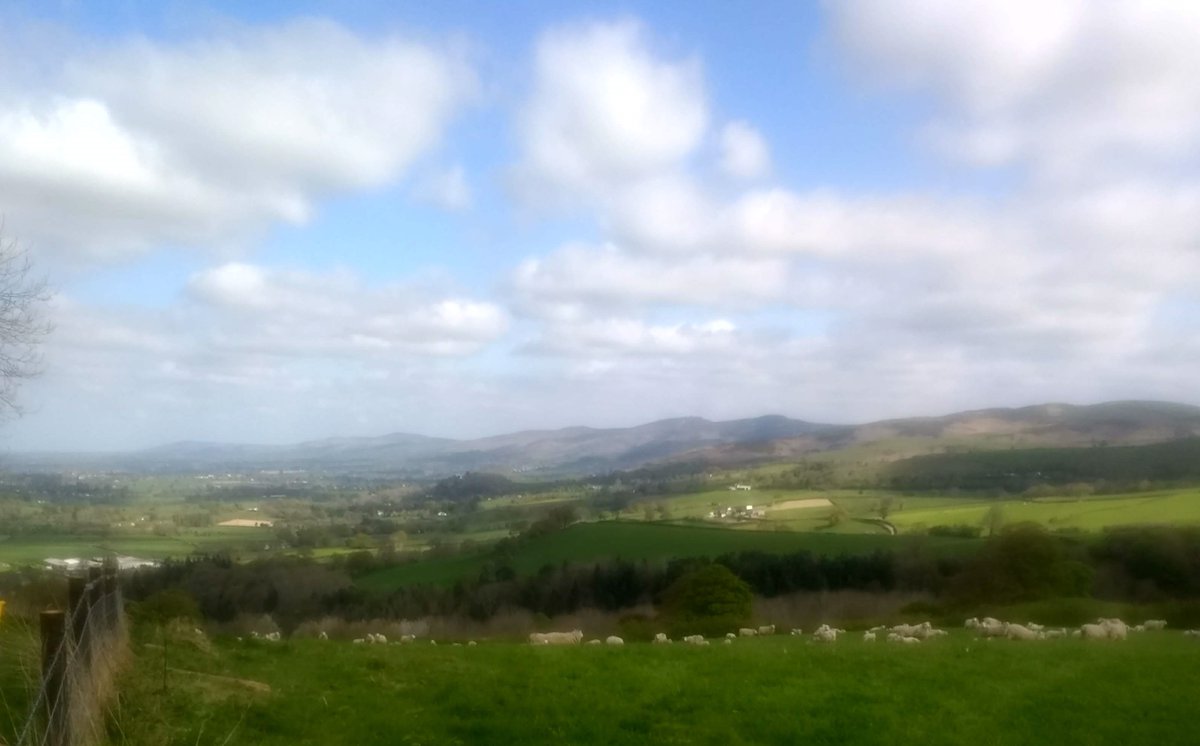 LesleyInnes3's tweet photo. Last day @colegcambria Llysfasi &amp; Northop. Had some great experiences, worked on interesting projects &amp; partnerships and of course with some really great people. Sad to go☹️, but ready for a new challenge 😃. Of course I'll also miss the office views .. https://t.co/qCmL2l5OJZ