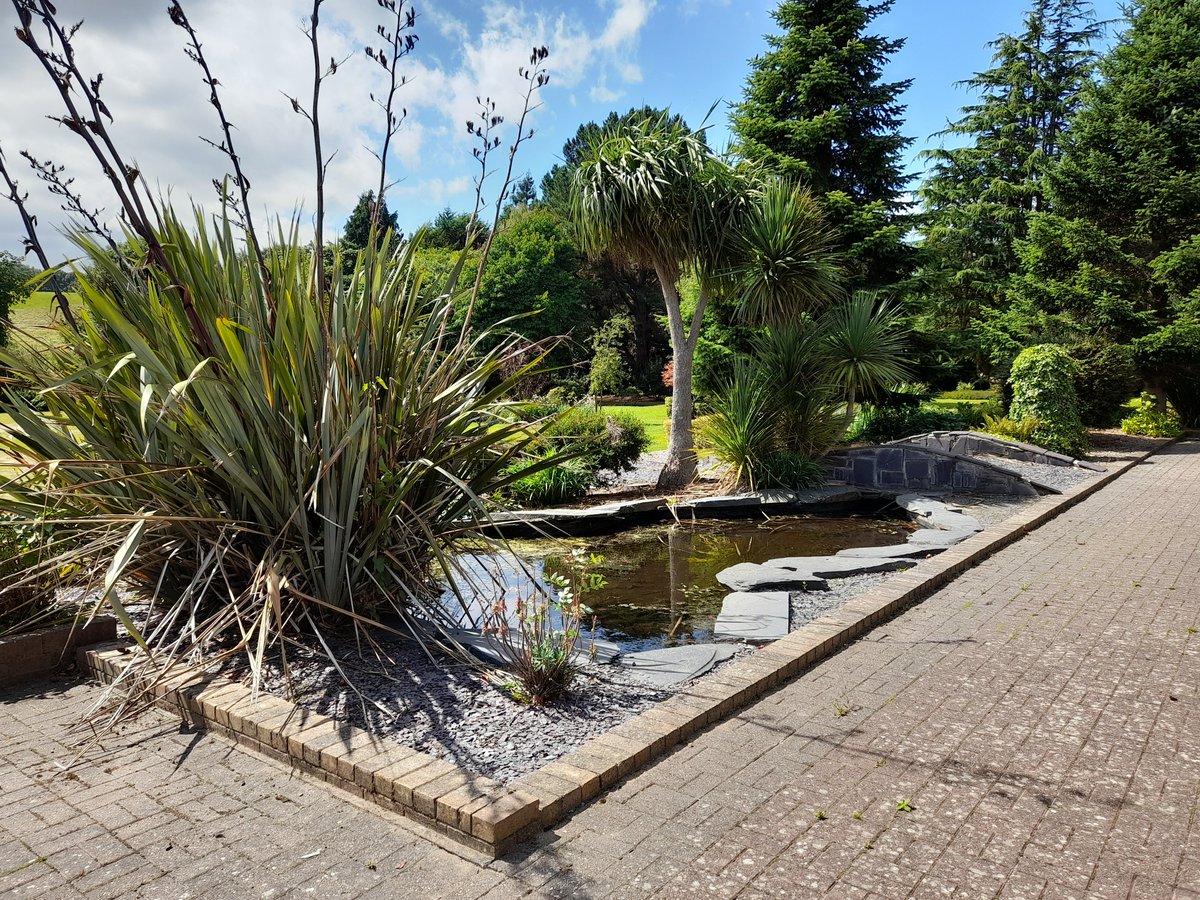 LesleyInnes3's tweet photo. Last day @colegcambria Llysfasi &amp; Northop. Had some great experiences, worked on interesting projects &amp; partnerships and of course with some really great people. Sad to go☹️, but ready for a new challenge 😃. Of course I'll also miss the office views .. https://t.co/qCmL2l5OJZ