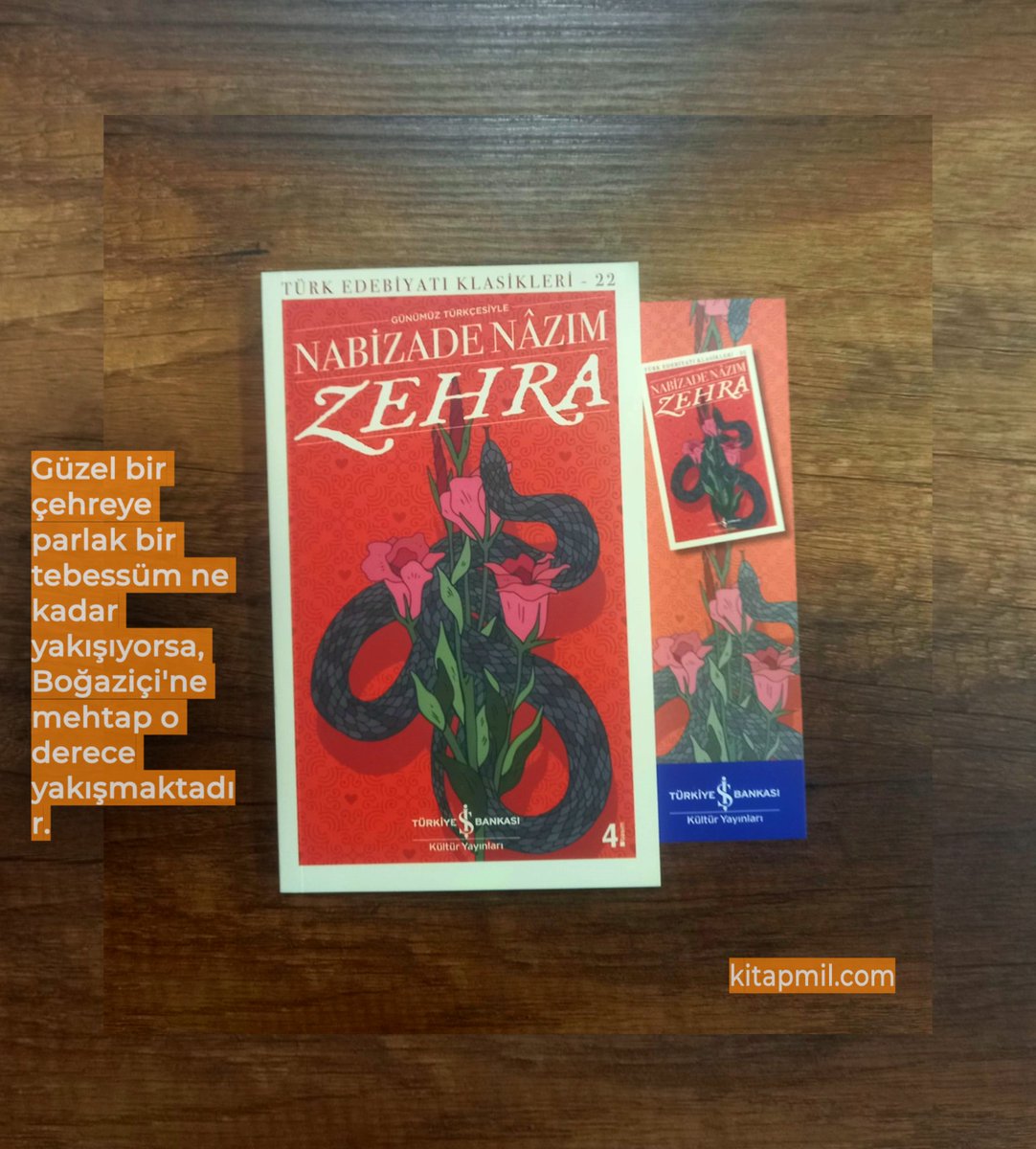 kitapmil's tweet photo. #zehra #nabizadenazım #edebiyat #roman #kitapmil https://t.co/2aocrMPHCG