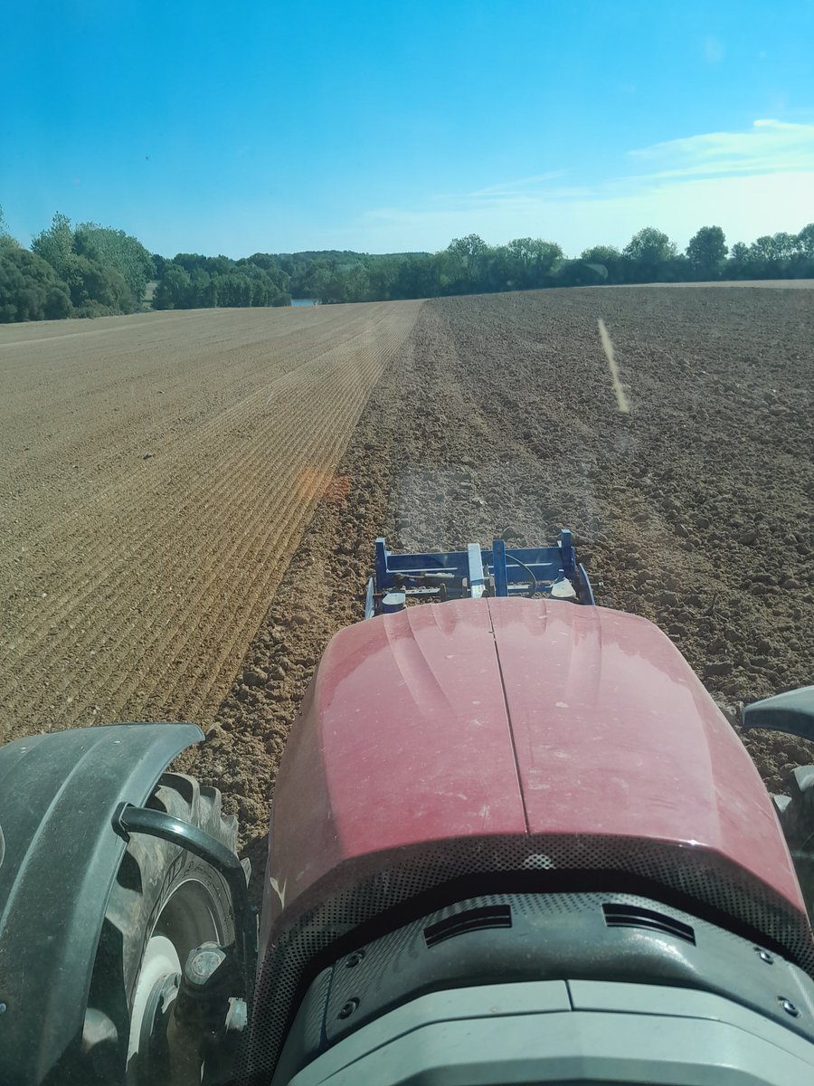 Préparation pour les colza bio