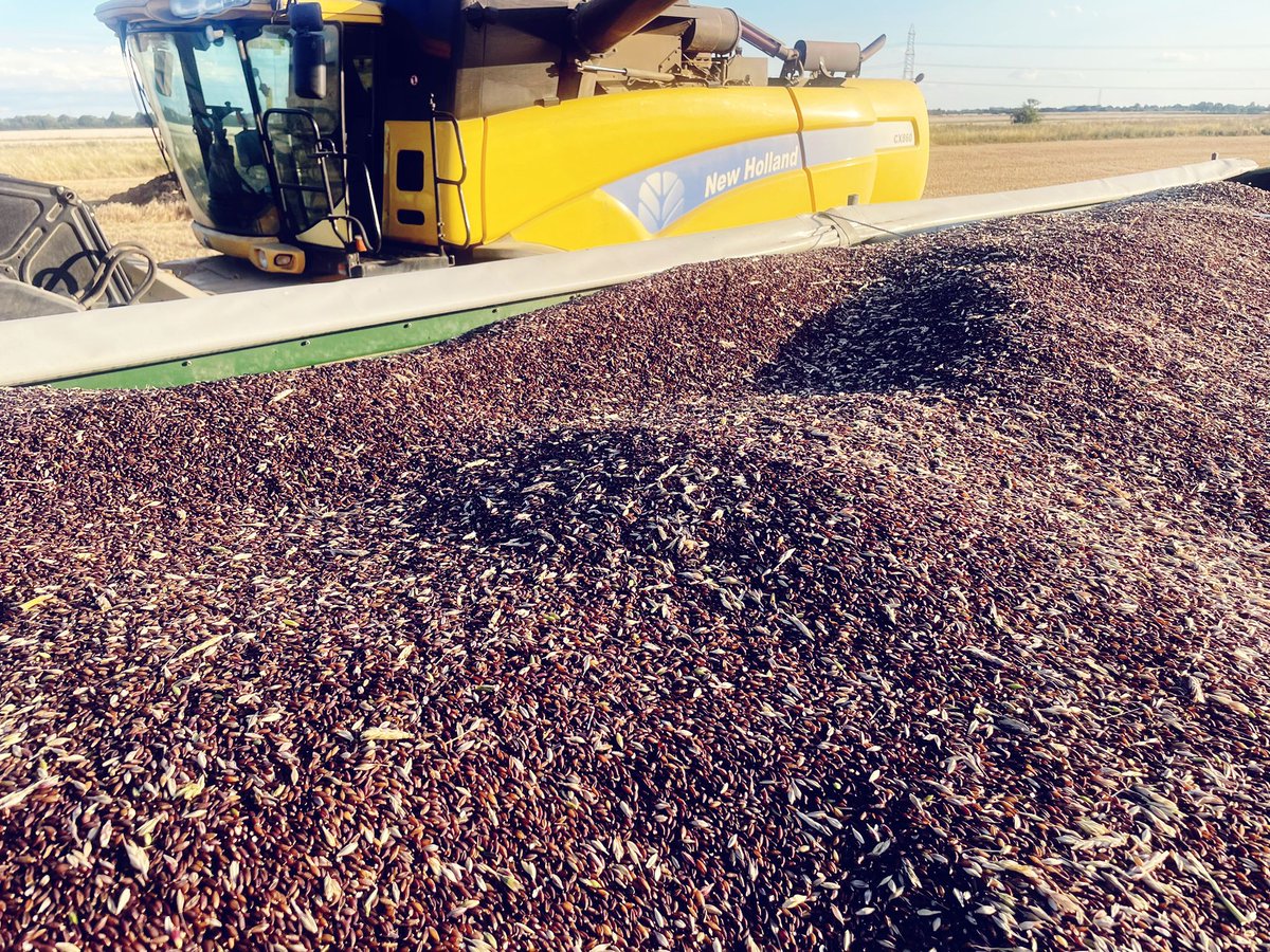 British Quinoa Co tweet media