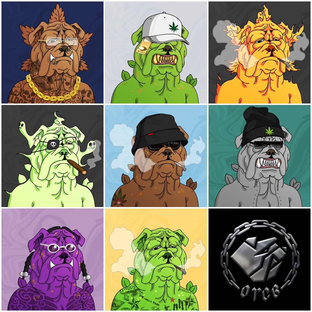 <Off The Chain Bulldogz> W&amp;B 에디션 에어드랍 🔥

1️⃣ 팔로우
<a href="/weedlybuddly/">Weedly & Buddly</a>
<a href="/LightBrosStudio/">LightBros_Studio</a>

2️⃣ 좋아요+리트윗

3️⃣ 자신의 반려동물 자랑글 트윗, 
<a href="/weedlybuddly/">Weedly & Buddly</a> <a href="/LightBrosStudio/">LightBros_Studio</a> 태그

4️⃣ 구글 폼 작성
bit.ly/3QkPgKi

🔸 ~8/12 6pm
🔸 총 8개 드랍

#NFT #NFTairdrop #NFTGiveaway