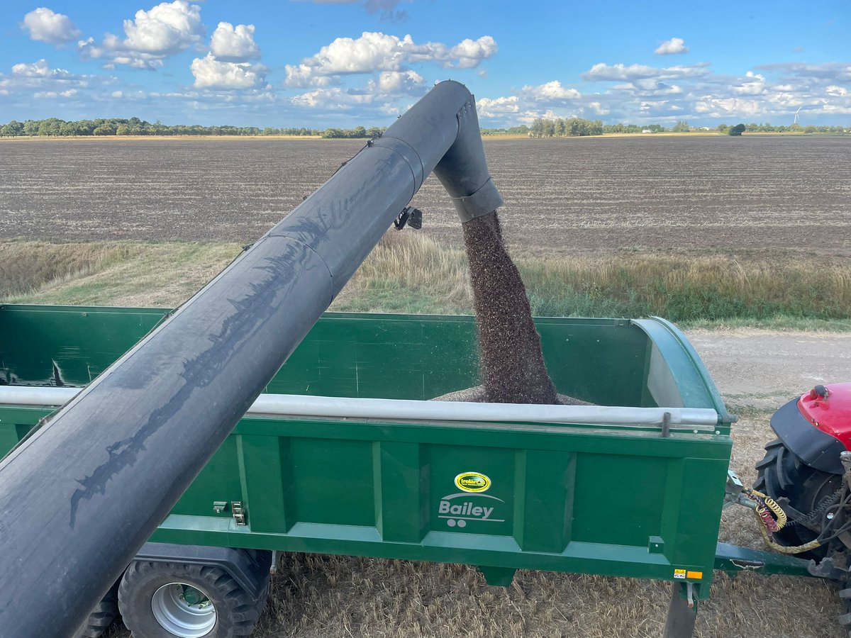 British Quinoa Co tweet media