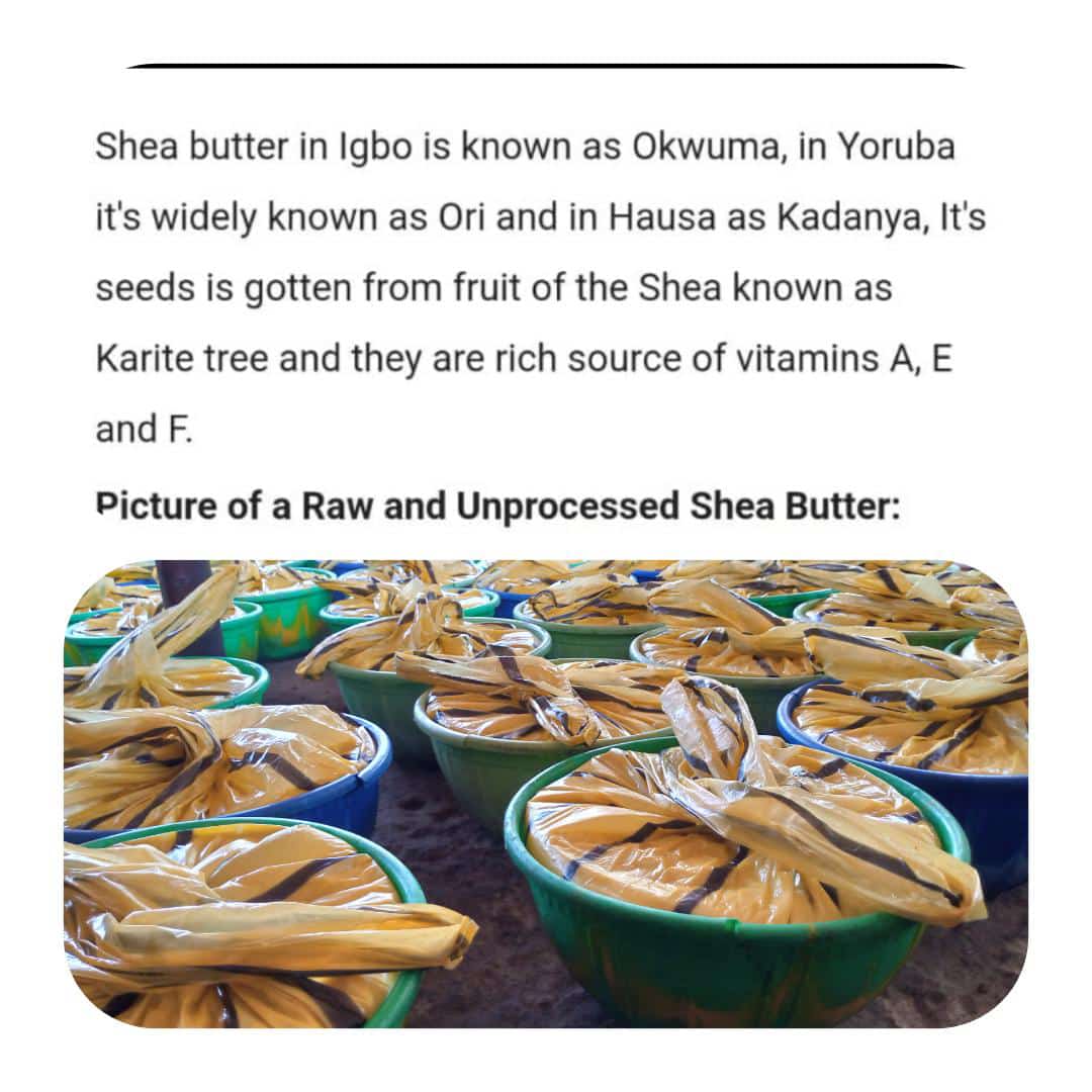 Fhato_Shea's tweet photo. For your Unrefined Handcrafted Sheabutter today. #seyimakinde #ibadan #sheabutter #sheacream https://t.co/nW2Rd5zHpE