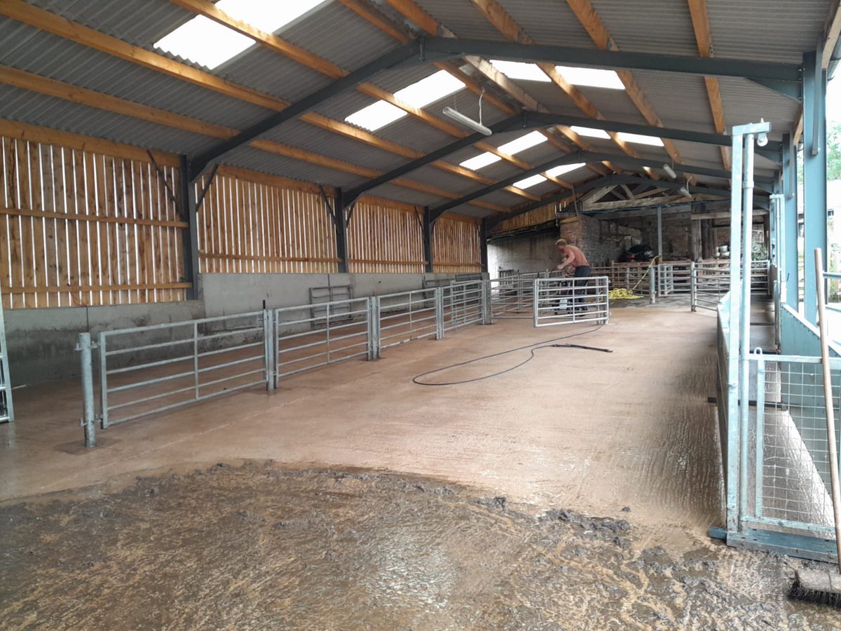 Hannah Bernie tweet media