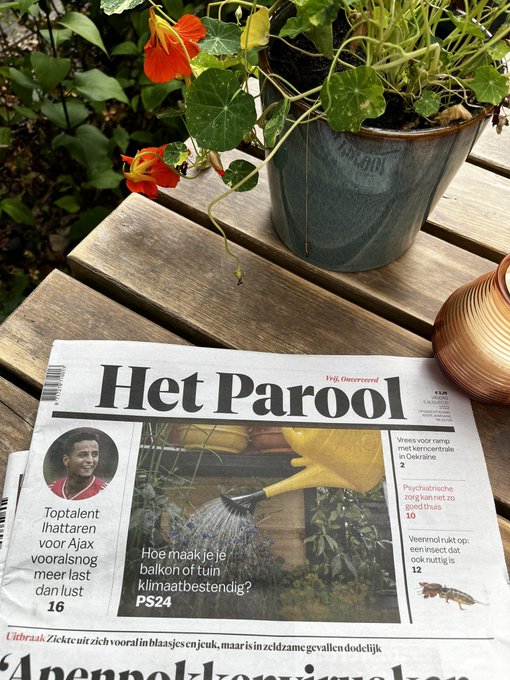 “Hoe maak je je balkon of tuin klimaatbestendig”. Vandaag in @parool een groot artikel over de adviezen die je krijgt bij het Groene Klimaatplein in tuincentra.
💙💚Geef groen en water de ruimte! Meer info over wat jij kan doen 👉 https://t.co/UDgPEI220Y