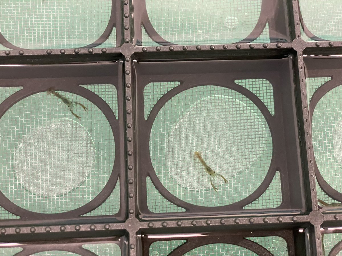 Sounding Wells - Hear the whole picture. tweet media