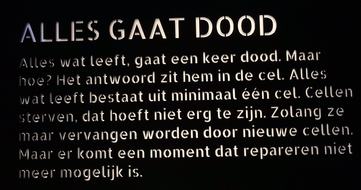 Hoe een kind het opvatte: ‘ik hoop nooit in de gevangenis te komen’. #naturalis #rexperience #omdenken #watwiljevandaagontdekken