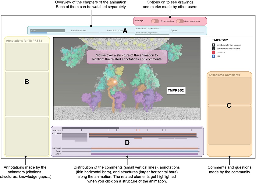 PLOSBiology's tweet image. A new tool for annotating #ScientificAnimations enables users to interactively explore the underlying data &amp;amp; engage in scientific discourse. @janetiwasa &amp;amp;co demonstrate its power with an #animation of the #SARSCoV2 life cycle #dataviz #PLOSBiology plos.io/3QnGYkU