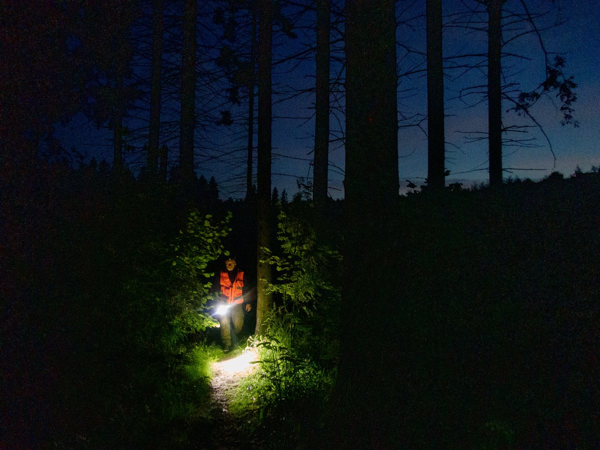 Alexander Sayganov tweet media